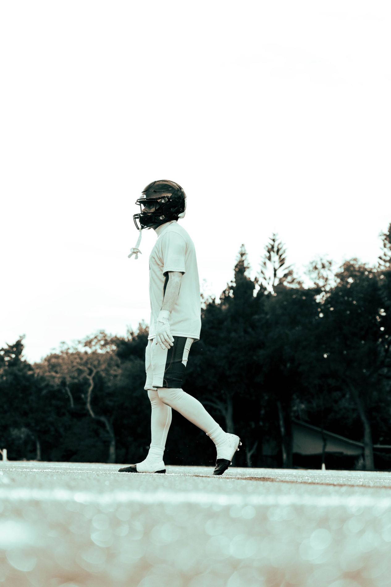 Charliepack Preview